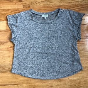 NWOT Gray Crop Tee